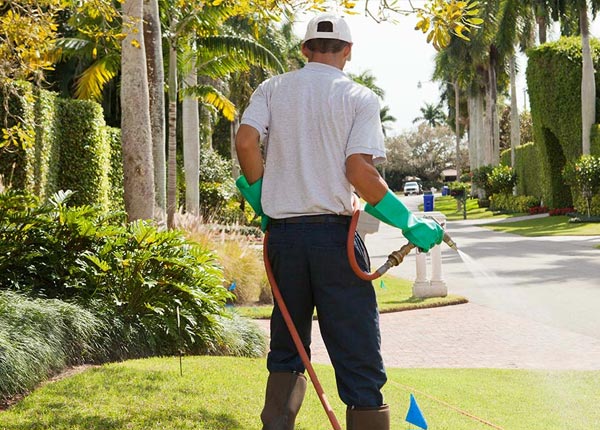 About Princeton NC Pest Control